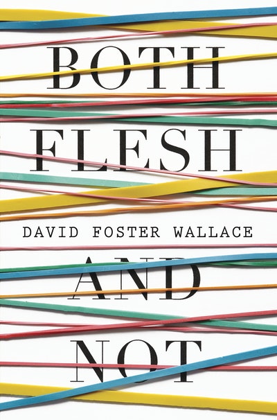 David Foster Wallace: The Last Interview Expanded with New Introduction: -  GOOD 9781612197418