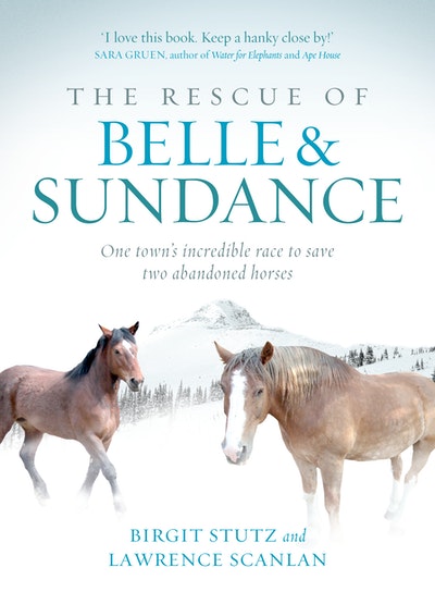 The Rescue Of Belle And Sundance By Birgit Stutz Penguin