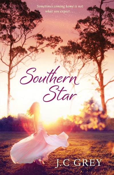 Southern Star: Destiny Romance