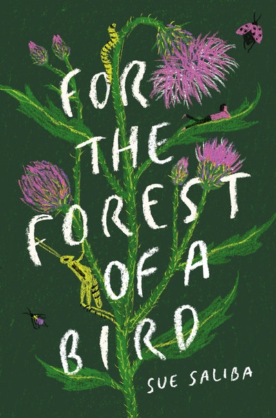 For the Forest of a Bird