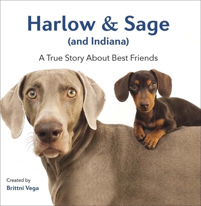 Harlow and Sage