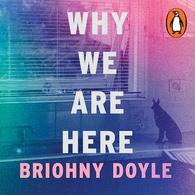 Why We Are Here