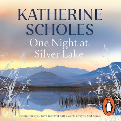 One Night at Silver Lake