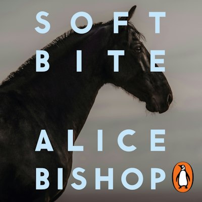 Soft Bite