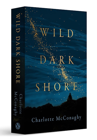 Wild Dark Shore