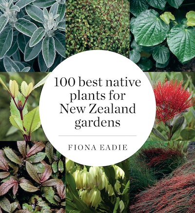 100 Best Native Plants for New Zealand Gardens (Revised Edition)