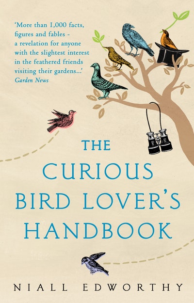 The Curious Bird Lover's Handbook