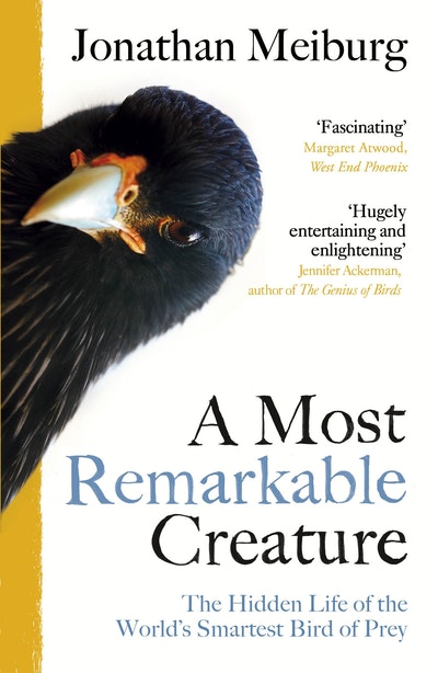 A Most Remarkable Creature
