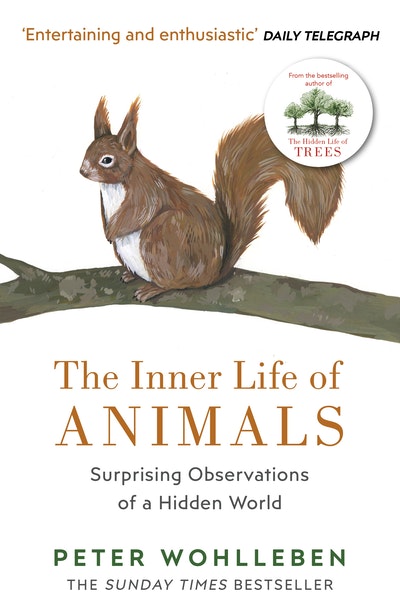 The Inner Life of Animals