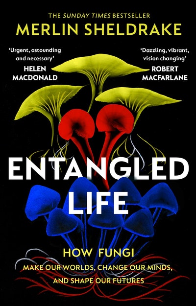 Sydney: The Secret Life of Fungi LIVE with Merlin Sheldrake