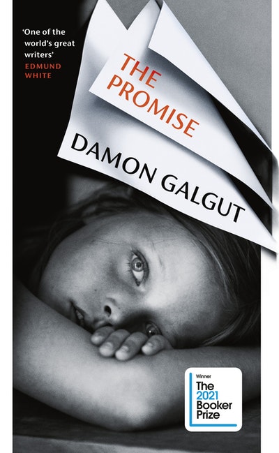 the promise damon galgut goodreads