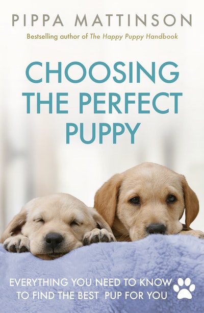Choosing the Perfect Puppy