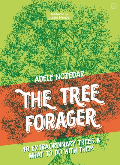 The Tree Forager