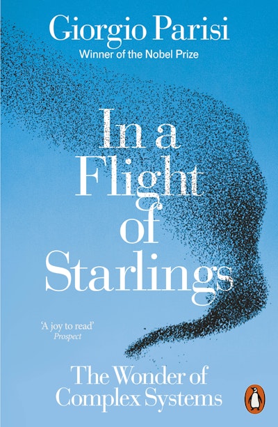 In a Flight of Starlings