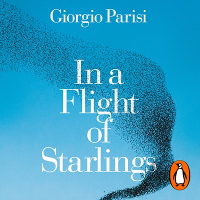 In a Flight of Starlings