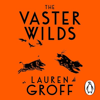 The Vaster Wilds