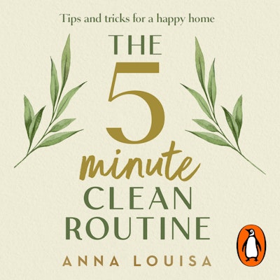 The 5 Minute Clean Routine
