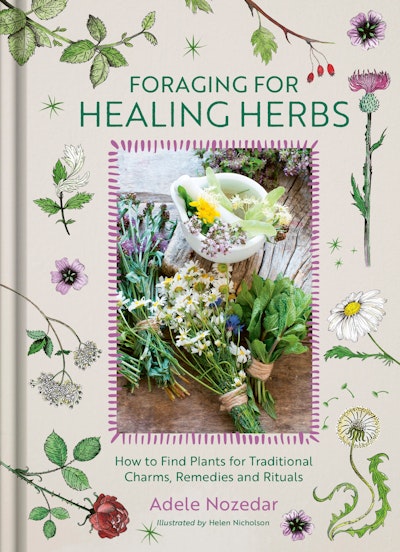 Foraging for Healing Herbs