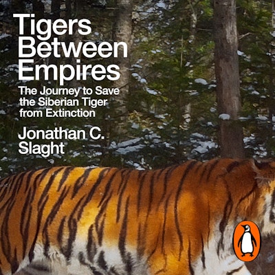 Tigers Between Empires