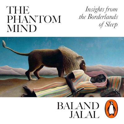 The Phantom Mind