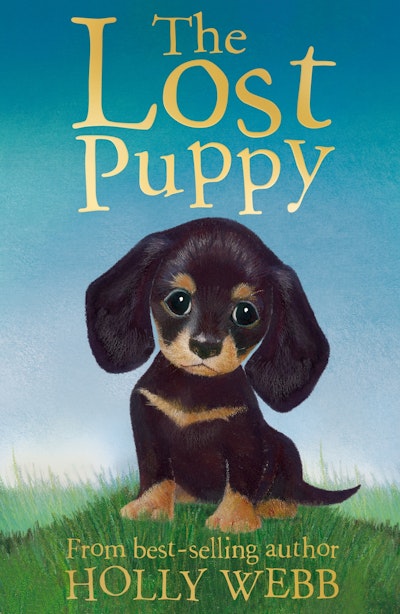 The Lost Puppy