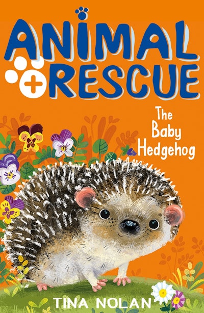 The Baby Hedgehog