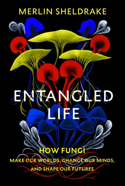 the entangled life