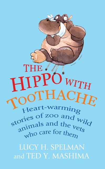 The Hippo with Toothache