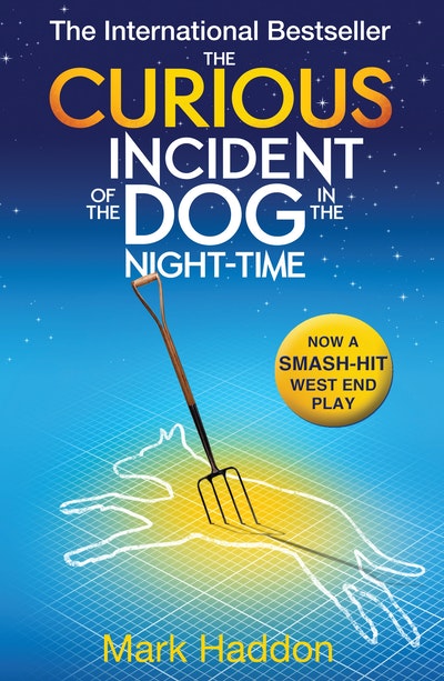 essay the curious incident of the dog in the nighttime