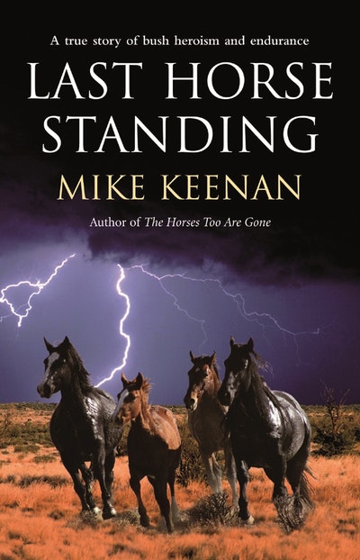 Last Horse Standing