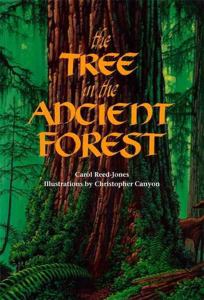 The Tree in the Ancient Forest