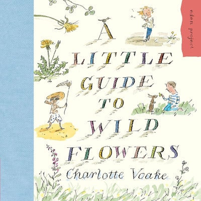 A Little Guide To Wild Flowers