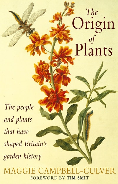 The Origin Of Plants