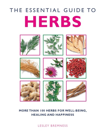 The Essential Guide to Herbs