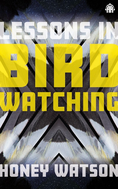Lessons in Birdwatching