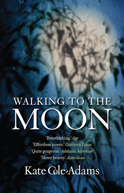 Walking to the Moon