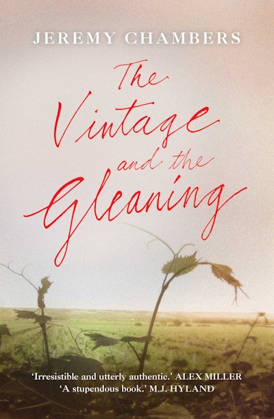 The Vintage and the Gleaning