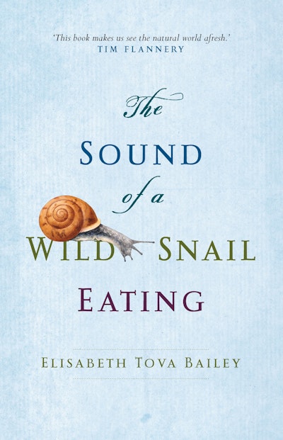 The Sound of a Wild Snail Eating