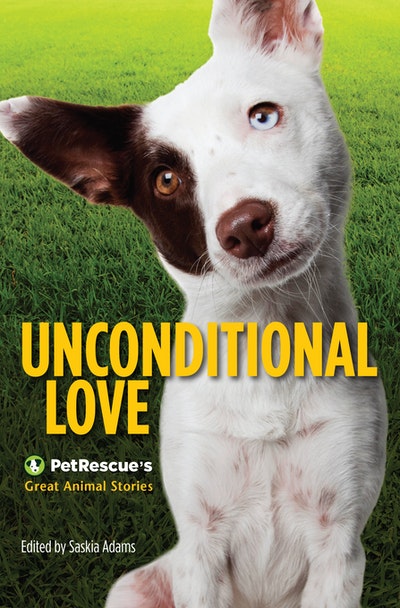 Unconditional Love: PetRescue's Great Animal Stories