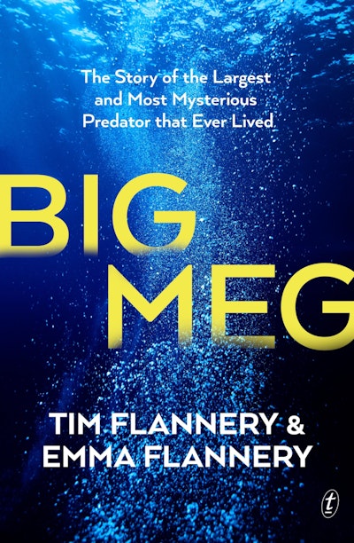 Big Meg