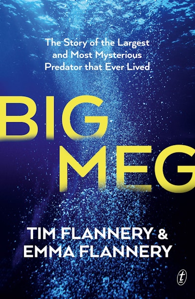 Big Meg