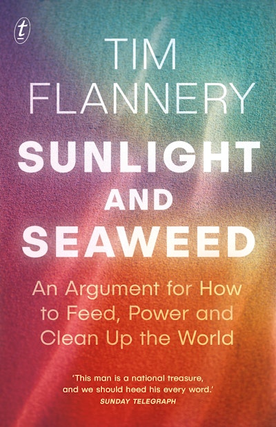Sunlight and Seaweed
