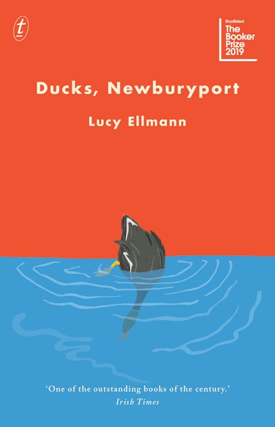 Ducks, Newburyport