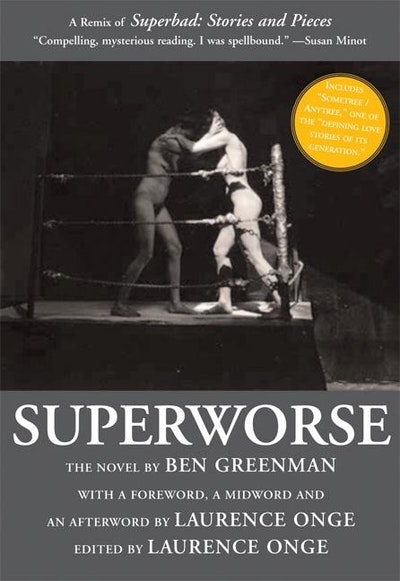 Superworse - The Novel