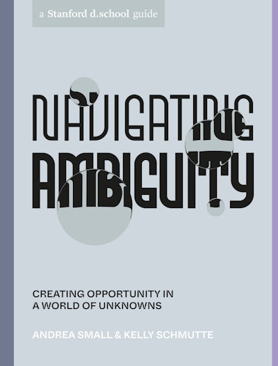Navigating Ambiguity