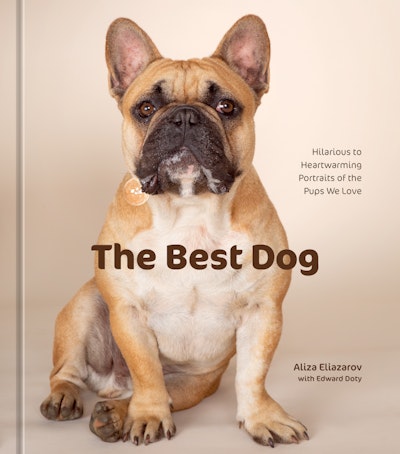The Best Dog