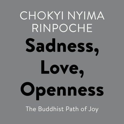 Sadness, Love, Openness