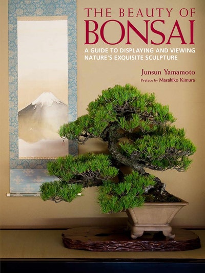 The Beauty of Bonsai