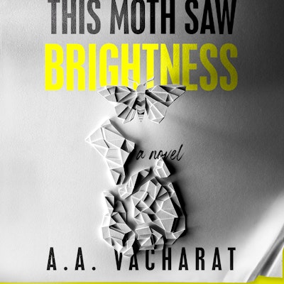 This Moth Saw Brightness