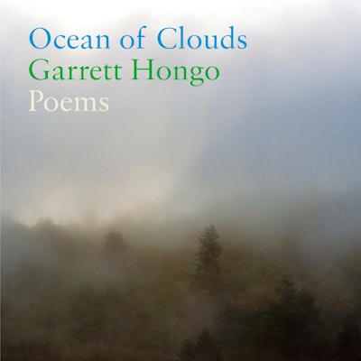 Ocean of Clouds